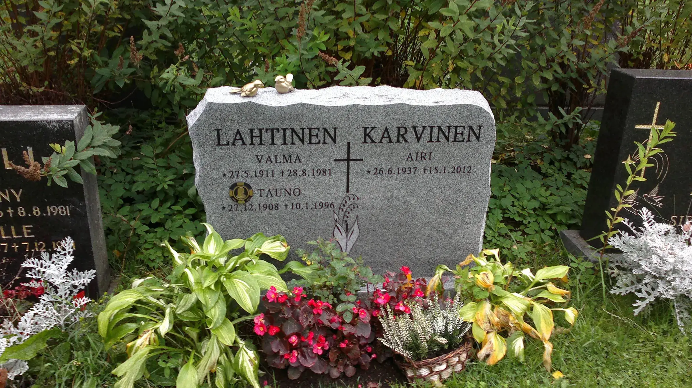 Harmaa graniittinen hautakivi, jossa on kaiverrettuna nimet Lahtinen, Valma, Tauno ja Karvinen, Airi sekä syntymä- ja kuolinpäivämäärät. Kiven päällä on kaksi pientä kultaista lintuhahmoa. Kiven vasemmalla puolella on sotilasmerkki ja oikealla puolella kielo-kuvio. Hautakiven edustalla kasvaa vihreitä ja valkoisia lehtiä, punaisia kukkia tummilla lehdillä sekä valkoisia kanervankukkia korissa. Taustalla on tiheää vihreää pensaikkoa. Vasemmalla ja oikealla näkyy osia muista hautakivistä. Kuva on otettu luonnonvalossa.